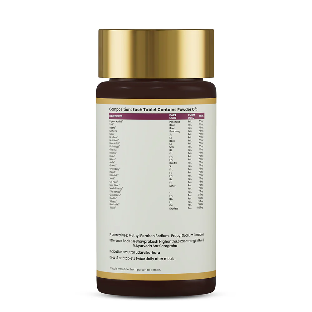 Chander Vati Tablets | Ayurvedic Support for Urinary Comfort & Daily Wellness - Image 8