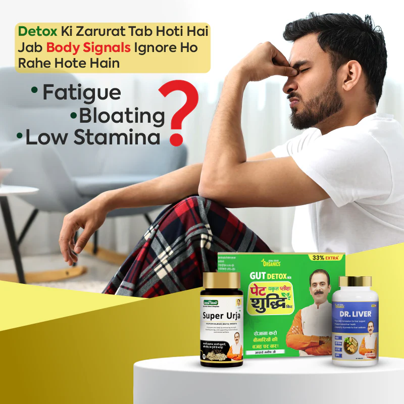 Energy Support Combo | Daily Stamina, Vitality & Wellness Kit - Image 3