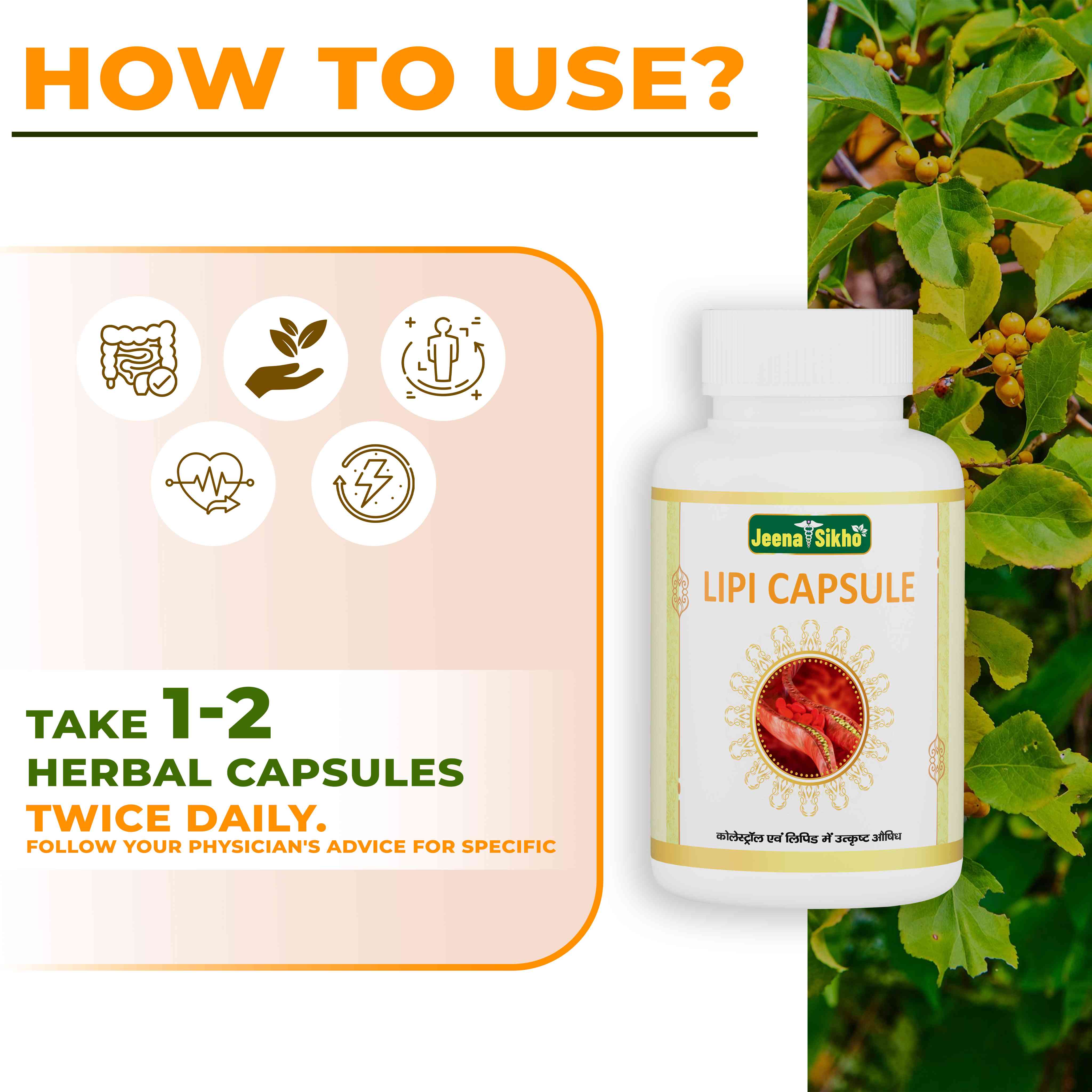 Lipi Capsules | Ayurvedic Cholesterol, Heart & Circulation Support - Image 4