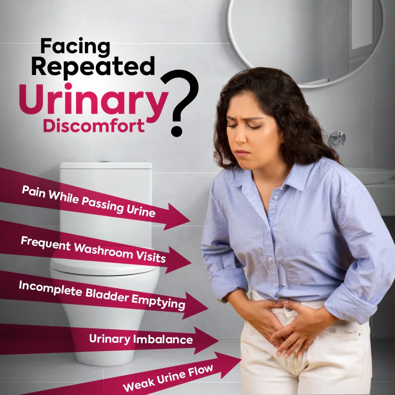 Mutra Vardhak Vati Tablets | Ayurvedic Formulation for Urinary Balance & Daily Wellness - Image 4